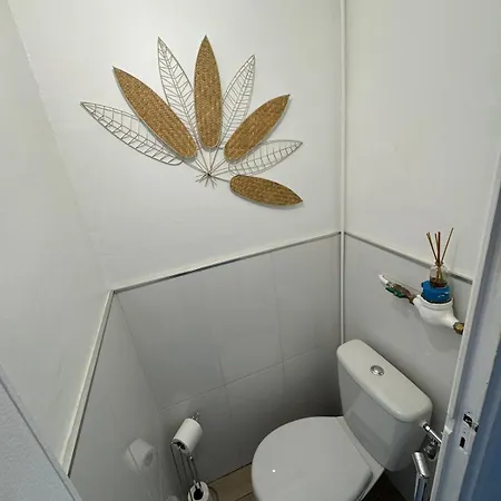 Appartement 306 Beauvert Free Parking